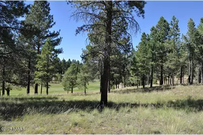 2900 S Solitaires Canyon Drive, Flagstaff, AZ 86005 - Photo 12