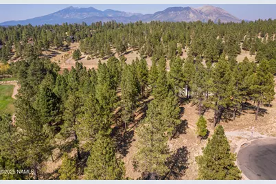 2900 S Solitaires Canyon Drive, Flagstaff, AZ 86005 - Photo 2