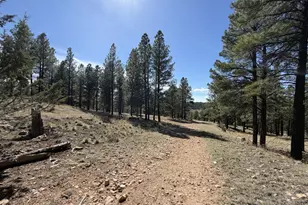 4870 E Gandalf Ln, Flagstaff, AZ 86004 - Photo 1
