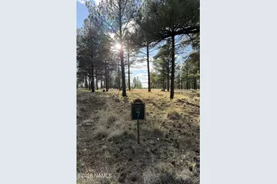 4870 E Gandalf Lane, Flagstaff, AZ 86004 - Photo 4