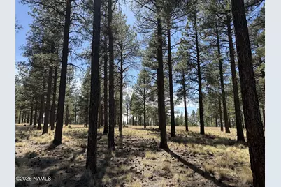 4870 E Gandalf Lane, Flagstaff, AZ 86004 - Photo 6