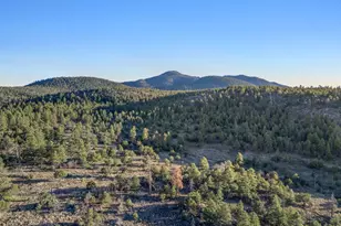 1005 W Park Way, Williams, AZ 86046 - Photo 8