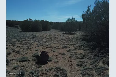 25935 W Fort Rock Road, Seligman, AZ 86337 - Photo 6