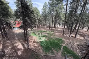 2983 Wakas Trail, Flagstaff, AZ 86005 - Photo 38