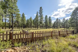 6135 E Abbey Rd, Flagstaff, AZ 86004 - Photo 4