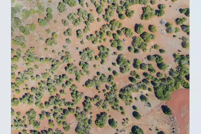 10416 N Overlook Drive, Williams, AZ 86046 - Photo 8