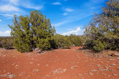8913 Water Tank Circle #B, Williams, AZ 86046 - Photo 6