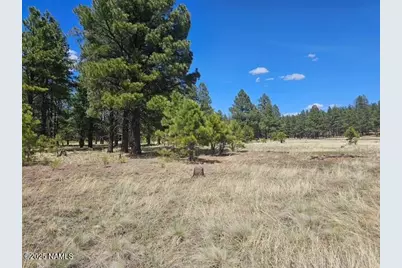 00 Crowley Trail, Flagstaff, AZ 86001 - Photo 12