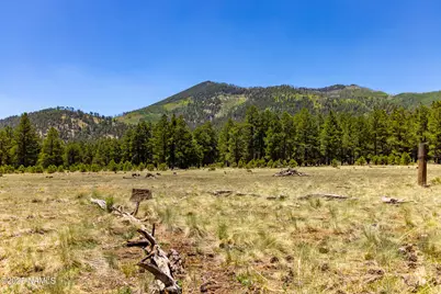 00 Crowley Trail, Flagstaff, AZ 86001 - Photo 1