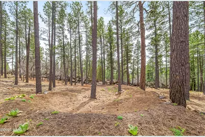105 W Mount Elden Lookout Road, Flagstaff, AZ 86001 - Photo 54