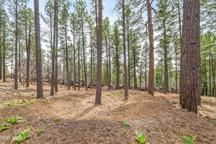 105 W Mt Elden Lookout Rd, Flagstaff, AZ 86001 - Photo 54