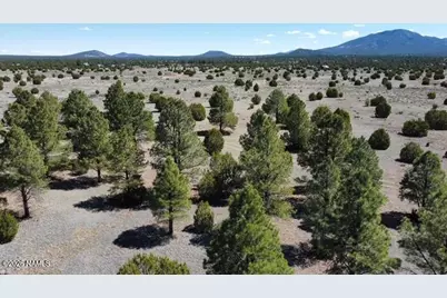 5305 W Red Mountain Road, Williams, AZ 86046 - Photo 10