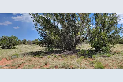 2152 S Hollyhock Lane, Williams, AZ 86046 - Photo 6