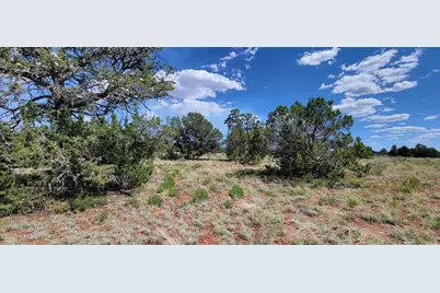 2152 S Hollyhock Lane, Williams, AZ 86046 - Photo 10