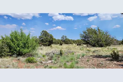 2152 S Hollyhock Lane, Williams, AZ 86046 - Photo 8