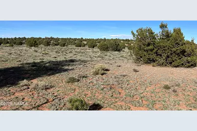 10747 Espee Road, Williams, AZ 86046 - Photo 10