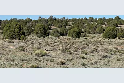 10747 Espee Road, Williams, AZ 86046 - Photo 8
