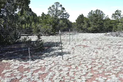 20203017 Griffin Road, Williams, AZ 86046 - Photo 10