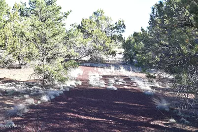 12498 N Chino Road, Williams, AZ 86046 - Photo 8