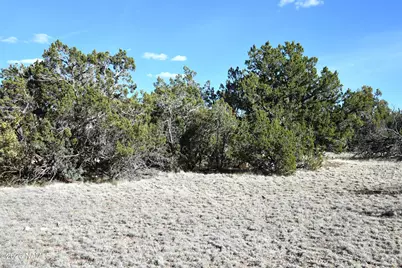 12498 N Chino Road, Williams, AZ 86046 - Photo 16