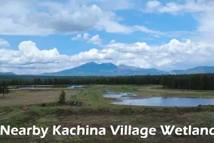 2922 Kweo Trail, Flagstaff, AZ 86005 - Photo 36