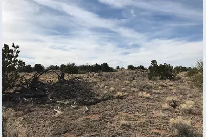 5597 S Cattle Tank Road, Williams, AZ 86046 - Photo 10