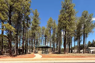 2933 W Putnam Dr, Flagstaff, AZ 86001 - Photo 50