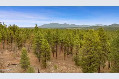 7804 E Long Bow Drive, Williams, AZ 86046 - Photo 12