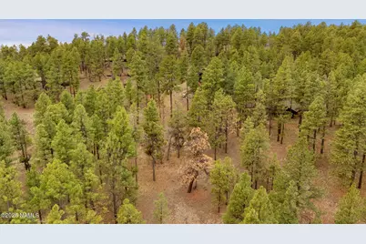 7804 E Long Bow Drive, Williams, AZ 86046 - Photo 18