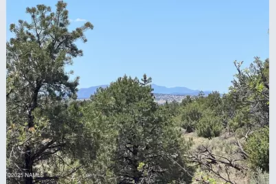 8801 S Rim Ranch Road, Williams, AZ 86046 - Photo 10
