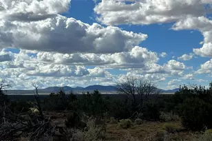 6197 Bird Dog Cir, Williams, AZ 86046 - Photo 58