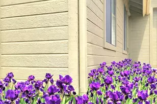 7335 Golden Eagle Dr, Flagstaff, AZ 86004 - Photo 22