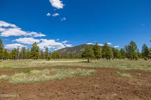 3689 Cione Ranch Rd, Flagstaff, AZ 86001 - Photo 58