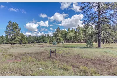 307 E Foxboro Road, Munds Park, AZ 86017 - Photo 1