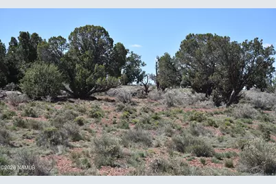 1348 E Indian Meadows Road, Williams, AZ 86046 - Photo 14