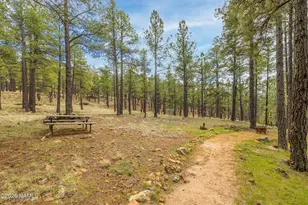 1426 N Edgewood St, Flagstaff, AZ 86004 - Photo 52