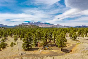 10510 Cross Rd, Flagstaff, AZ 86004 - Photo 18