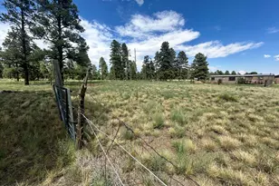 10510 Cross Rd, Flagstaff, AZ 86004 - Photo 26