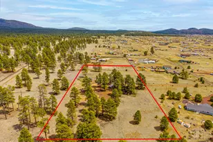 10510 Cross Rd, Flagstaff, AZ 86004 - Photo 14