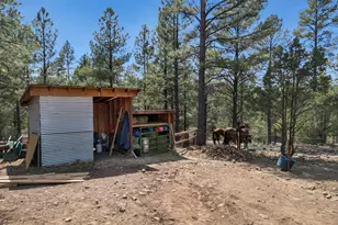 1290 S Herold Rnch Rd, Flagstaff, AZ 86004 - Photo 14