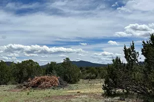 6077 N Cliff Rose, Williams, AZ 86046 - Photo 74