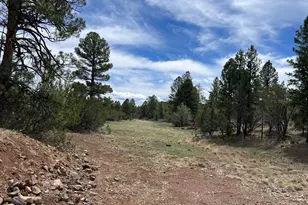 6077 N Cliff Rose, Williams, AZ 86046 - Photo 14