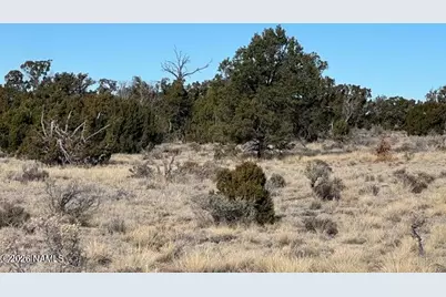 1282 Watchtower, Williams, AZ 86046 - Photo 4
