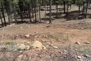 695 N Snowberry Circle, Flagstaff, AZ 86004 - Photo 4
