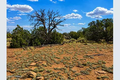 579 S Overland Trail, Williams, AZ 86046 - Photo 8