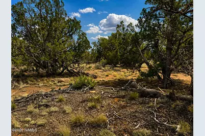 579 S Overland Trail, Williams, AZ 86046 - Photo 10