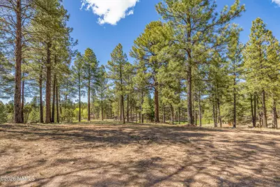 3655 S Woodland Hills Drive Lot #366, Flagstaff, AZ 86005 - Photo 14