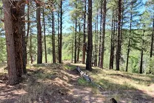 2678 Mesa Trail, Flagstaff, AZ 86005 - Photo 10