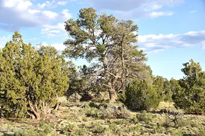 3391 E Indian Meadows Road #44, Williams, AZ 86046 - Photo 1