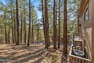 2705 Bucky Oneill, Flagstaff, AZ 86005 - Photo 6
